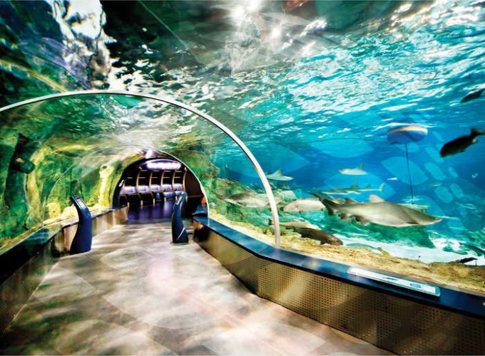 Türkiye Travel Daily Tours Attractions Airport Transfers
