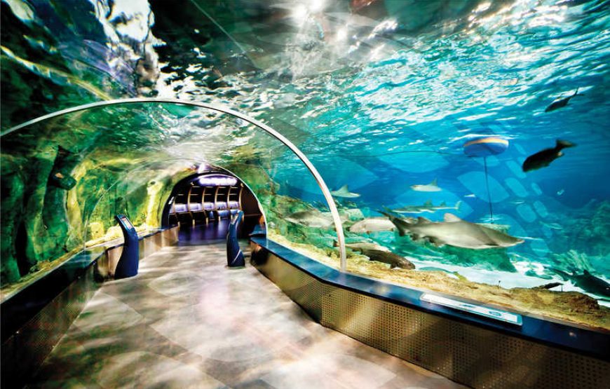 ISTANBU FUN TOUR