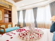 Türkiye Travel Daily Tours Attractions Airport Transfers
